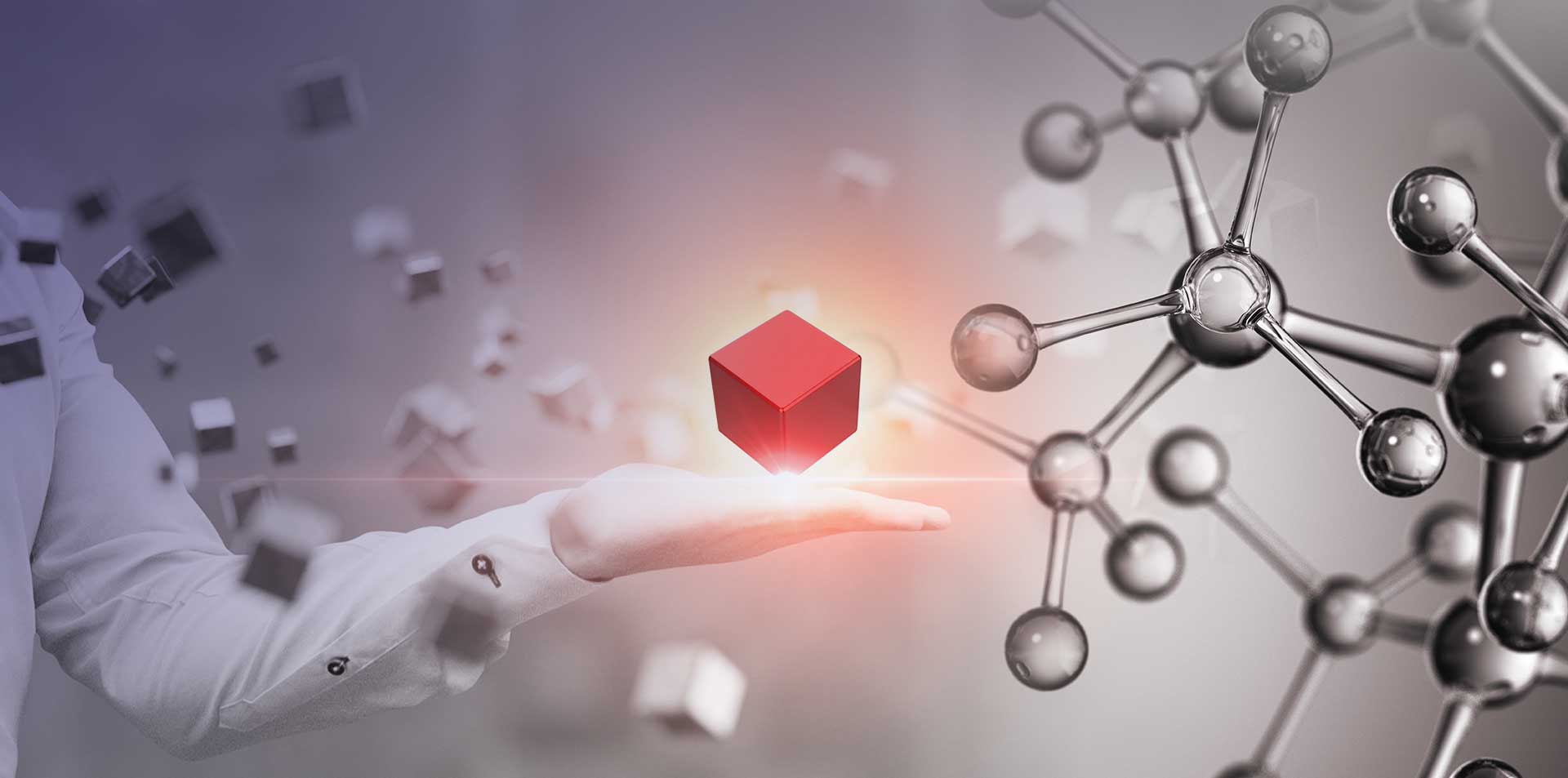 佳润兴生物股份